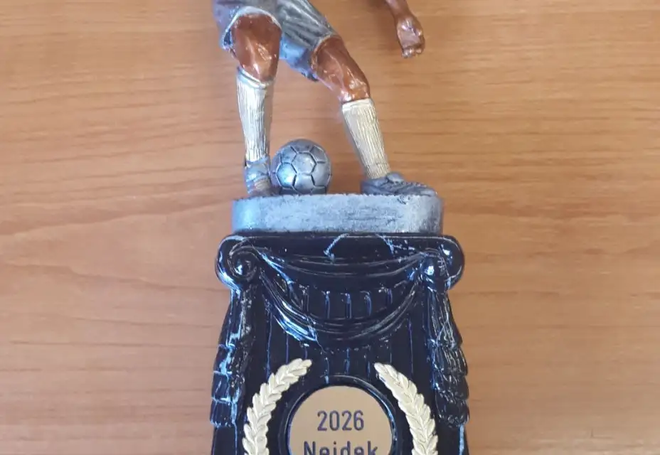 Novoroční fialový turnaj v Nejdku